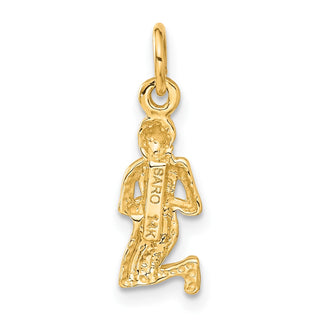 14k Yellow Gold Satin Diamond-cut Virgo Zodiac Charm C481