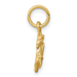 14k Yellow Gold Satin Diamond-cut Capricorn Zodiac Charm C485