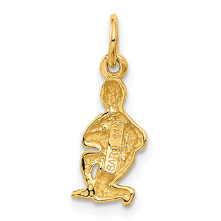 14k Yellow Gold Satin Diamond-cut Aquarius Zodiac Charm