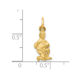 14k Yellow Gold Satin Diamond-cut Aquarius Zodiac Charm