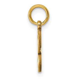 14k Yellow Gold Initial S Charm C565S