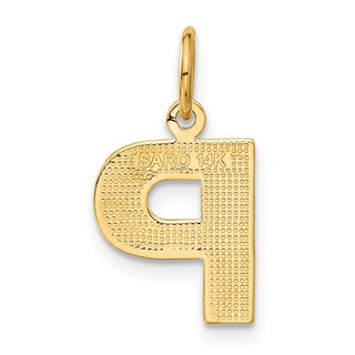 14k Yellow Gold Initial P Charm C566P
