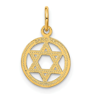 14k Yellow Gold Solid Polished Star Of David Charm C823