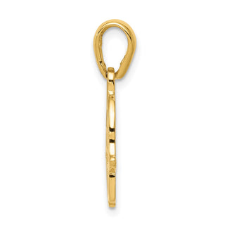 14k Yellow Gold Star Of David Chamseh Pendant