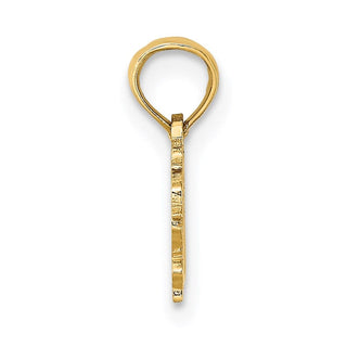 14k Yellow Gold 100% Virgo Pendant