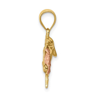 14k Two-tone Gold Brushed and Polished Diamond-cut Plumeria and Dolphin Pendant