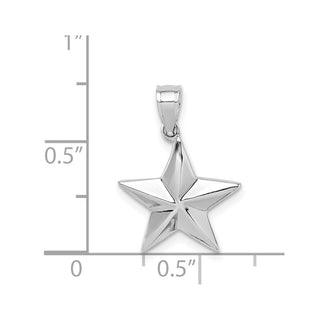 14k White Gold Polished Star Pendant
