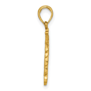 14K Yellow Gold Polished Lion Head with Crown Pendant