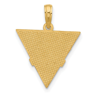 14K Yellow Gold Polished Triangle Caduceus Charm