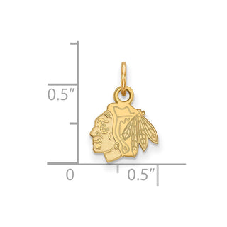 14k Gold NHL LogoArt Chicago Blackhawks Extra Small Pendant