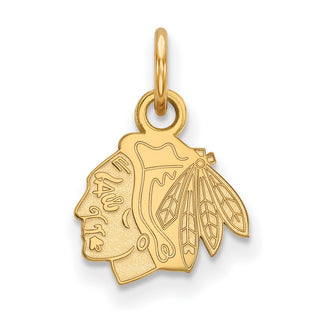14k Gold NHL LogoArt Chicago Blackhawks Extra Small Pendant