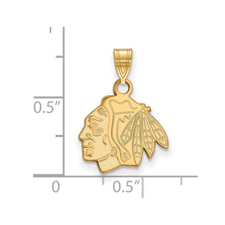 10k Gold NHL LogoArt Chicago Blackhawks Small Pendant