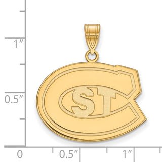 10k Gold LogoArt St. Cloud State University Large Pendant