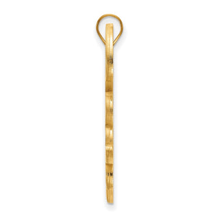 14k Gold LogoArt Tulane University Extra Large Pendant