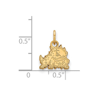 14k Gold LogoArt Texas Christian University Horned Frog Extra Small Pendant