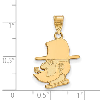 10k Gold LogoArt Appalachian State University Mountaineer Large Pendant