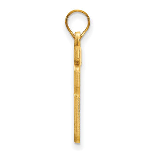 14k Yellow Gold LogoArt Southern Illinois University Large Pendant
