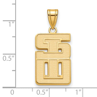 14k Yellow Gold LogoArt Southern Illinois University Large Pendant