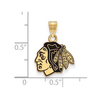 Sterling Silver Gold-plated NHL LogoArt Chicago Blackhawks Small Enameled Pendant