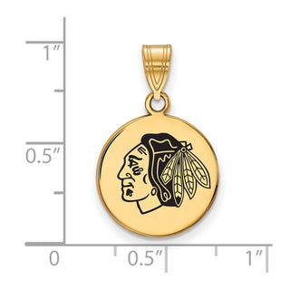 Sterling Silver Gold-plated NHL LogoArt Chicago Blackhawks Medium Enameled Disc Pendant