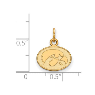 10k Gold LogoArt University of Iowa Hawk Extra Small Oval Pendant