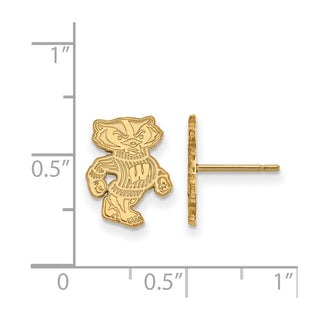 10k Gold LogoArt University of Wisconsin Badger Small Post Earrings