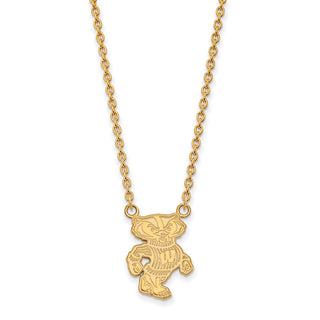 14k Gold LogoArt University of Wisconsin Badger Large Pendant 18 inch Necklace