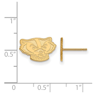10k Gold LogoArt University of Wisconsin Badger Extra Small Post Earrings