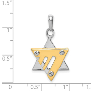 14k Yellow and White Gold Star Of David Pendant K1272