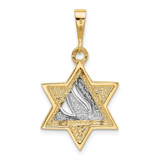 14k Yellow and White Gold Star Of David Pendant K1275