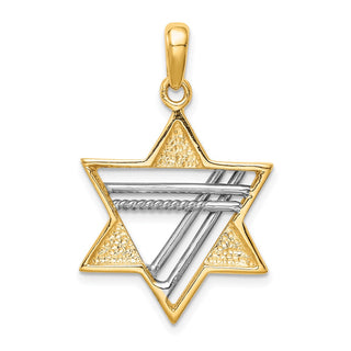 14k Yellow and White Gold Star Of David Pendant K1286