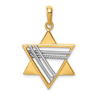 14k Yellow and White Gold Star Of David Pendant K1286