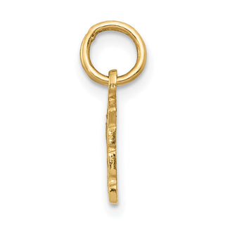 14k Yellow Gold Swiss Cheese Charm