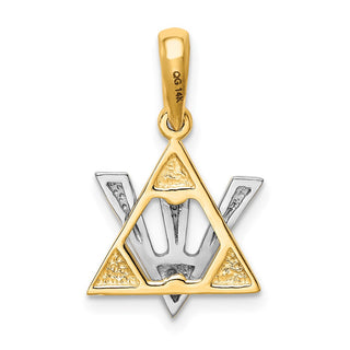14k Yellow and White Gold Star Of David with Shin Letter Pendant