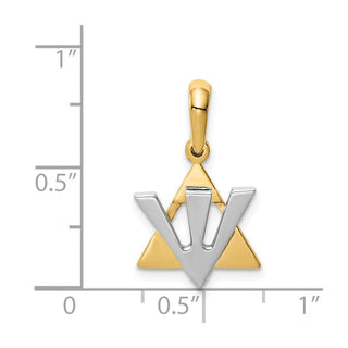 14k Yellow and White Gold Star Of David with Shin Letter Pendant