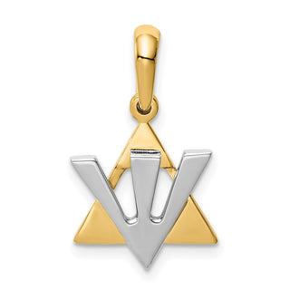 14k Yellow and White Gold Star Of David with Shin Letter Pendant