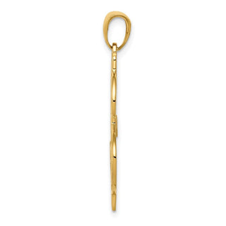 14k Yellow Gold Polished and Textured Dollar Sign Pendant