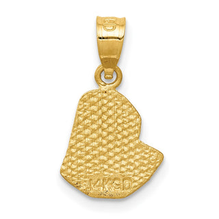 14k Yellow Gold Satin and Diamond-Cut Mary Pendant