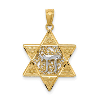 14k Yellow and White Gold Polished Star Of David with Chai Pendant