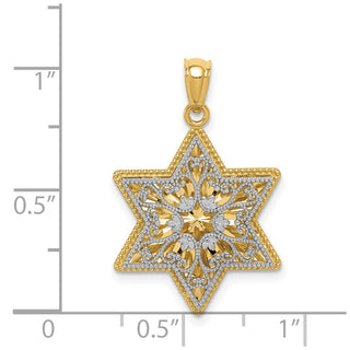 14k Yellow and White Gold Polished Reversible Filigree Star Of David Pendant