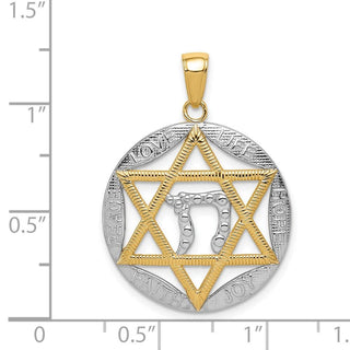 14k Yellow Gold And Rhodium Polished Jewish Star With Chai In Round Pendant