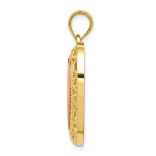 14k Yellow and Rose Gold Polished and Satin Heart Pendant