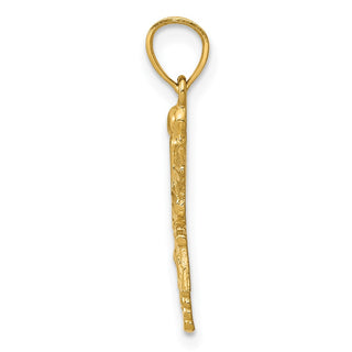 14k Yellow Gold Diamond-Cut Rn Pendant