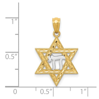14k Yellow Gold and Rhodium Star Of David with Chai Pendant