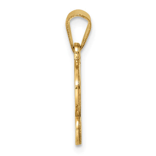 14k Yellow Gold Polished G Script Initial Pendant