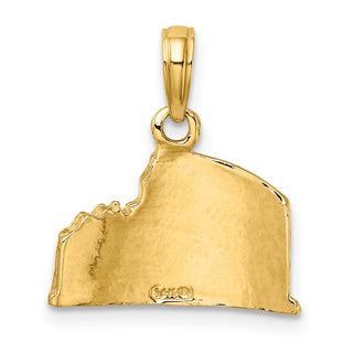 14k Yellow Gold Texture and 2-D Coliseum Pendant