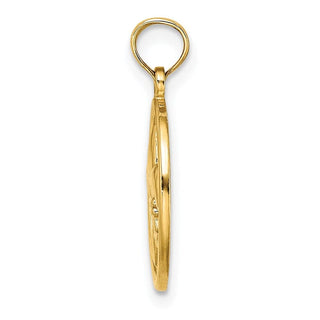 14k Yellow Gold Fleur de Lis on Oval Disc Pendant