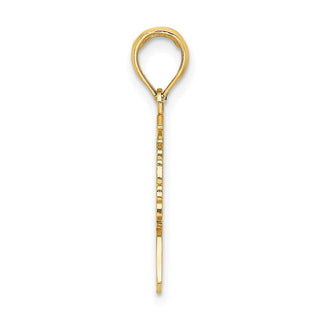 14k Yellow Gold Polished Female Graduation Profile w/Diploma Pendant