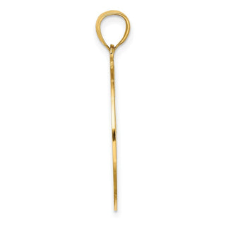 14k Yellow Gold Retro Daisy In Round Frame/Gate Jewelry Pendant