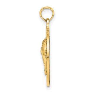 14k Yellow Gold Bahamas Frame Dolphin Pendant